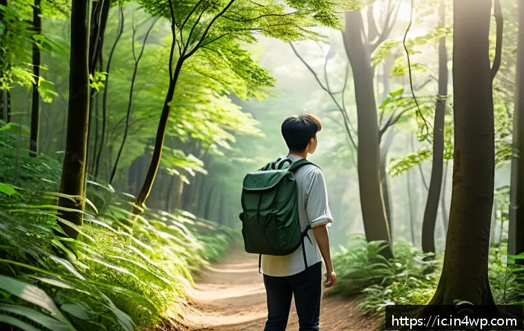일상에서 언플러그드 배려하기 - A serene scene of a person taking a nature walk in a lush green forest during early morning light, s...